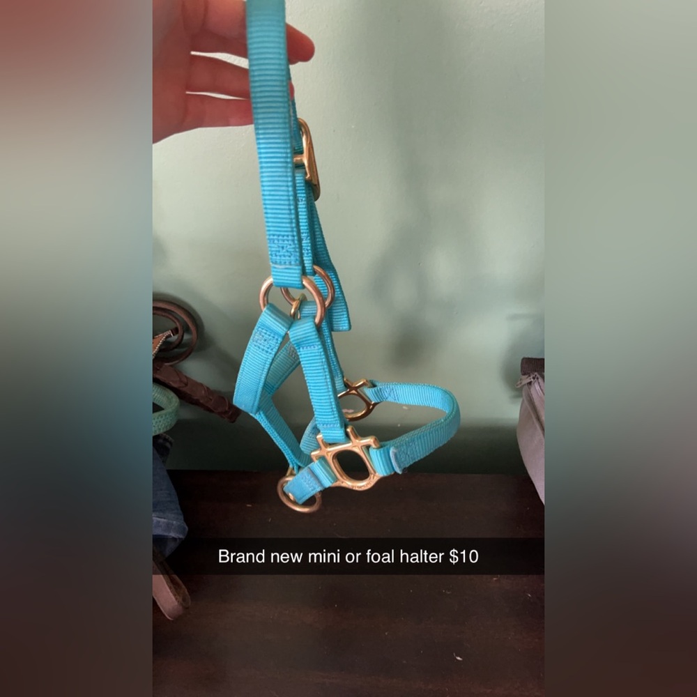 HORSE TACK